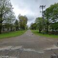 Two loose dogs attack another dog on Grand River