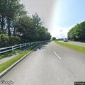 Officer with injured deer on MacArthur Boulevard