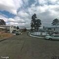 Vehicle hits deer on 37th Street in Los Alamos