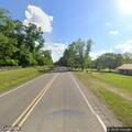 Deer carcass blocking Highway 31 at Pintlala Road