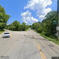 Injured raccoon hit by vehicle on West Fork Road