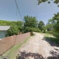 Pack of loose dogs reported on Wingler Street