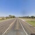 Cow loose on Highway 19 in Lovelady