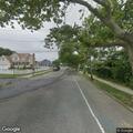 Loose dog running in roadway in Patchogue