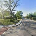 Female struck tree with head injury and serious bleeding
