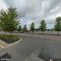 Tree fire in grocery store parking lot