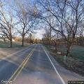 Deer needs to be put down near Chilson Road