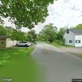 Loose dog in roadway causing traffic hazard