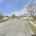 Loose dogs running in roadway near Mount Hope Ave