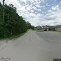 Loose brown and black dog reported on Poplar Street
