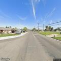Dog running in roadway on South Jackson Avenue