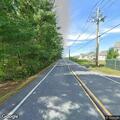 Tree on power lines reduces traffic to one lane