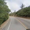 Cow standing near roadway in Julian