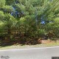 Tree blocking roadway on Laurel Point