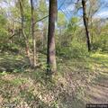Woman with severe knee injury on nature trail
