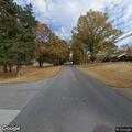 Leaning pine tree creates road hazard in Cedartown