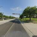 Dog near roadway creating traffic hazard