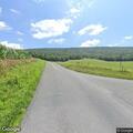 Tree blocking road on Mahantongo Mountain Road