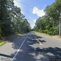 Injured deer on shoulder of Montauk Highway