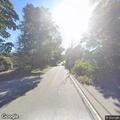 Tree hazard on Indiantown Road near Iron Street