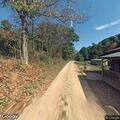 Tree blocking roadway on Long Run Road