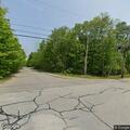 Tree limb blocking road on County Farm Road