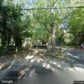 Tree blocking lanes on Bayshore Road