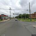 Driver hits dog at university intersection