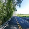 Injured and dead deer creating road hazard