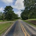 Tree blocking both lanes on FM 450 North