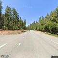Vehicle hits bear on Highway 44