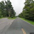 Tree on wires near Route 39 and Gelston