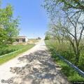 Cow loose on Ridge Road