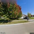 Tree branch on electrical wires at Hamilton Drive