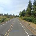 Limb blocking Highway 53 near milepost 8