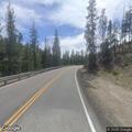 Vehicle hits elk and blocks lane on Highway 21