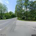 Tree on communication wires creates road hazard