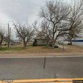 Loose livestock on Highway 39