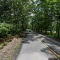 Vehicle crash with driver trapped against tree