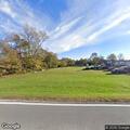 Injured deer lying in roadway on Broad Run Road