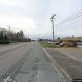 Loose dog in traffic near 23 Mile and Lempke