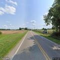Loose dog reported in median on State Route 503