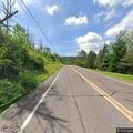 Tree blocking road on Route 87 in Colley Township