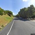 Loose cow reported on Crockett Hills roadway