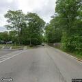 Dead raccoons creating road hazard on Upland Woods