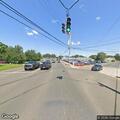 Dead raccoon in road causing traffic hazard