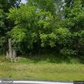 Tree blocking Beaver Road near Dix Run Road
