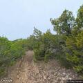 Person suffering from abdominal pain on Wildcat Canyon Trail