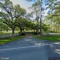 Vehicle hits deer on Limerick Plantation Drive