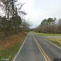 Small tree removed from Flat Swamp Road